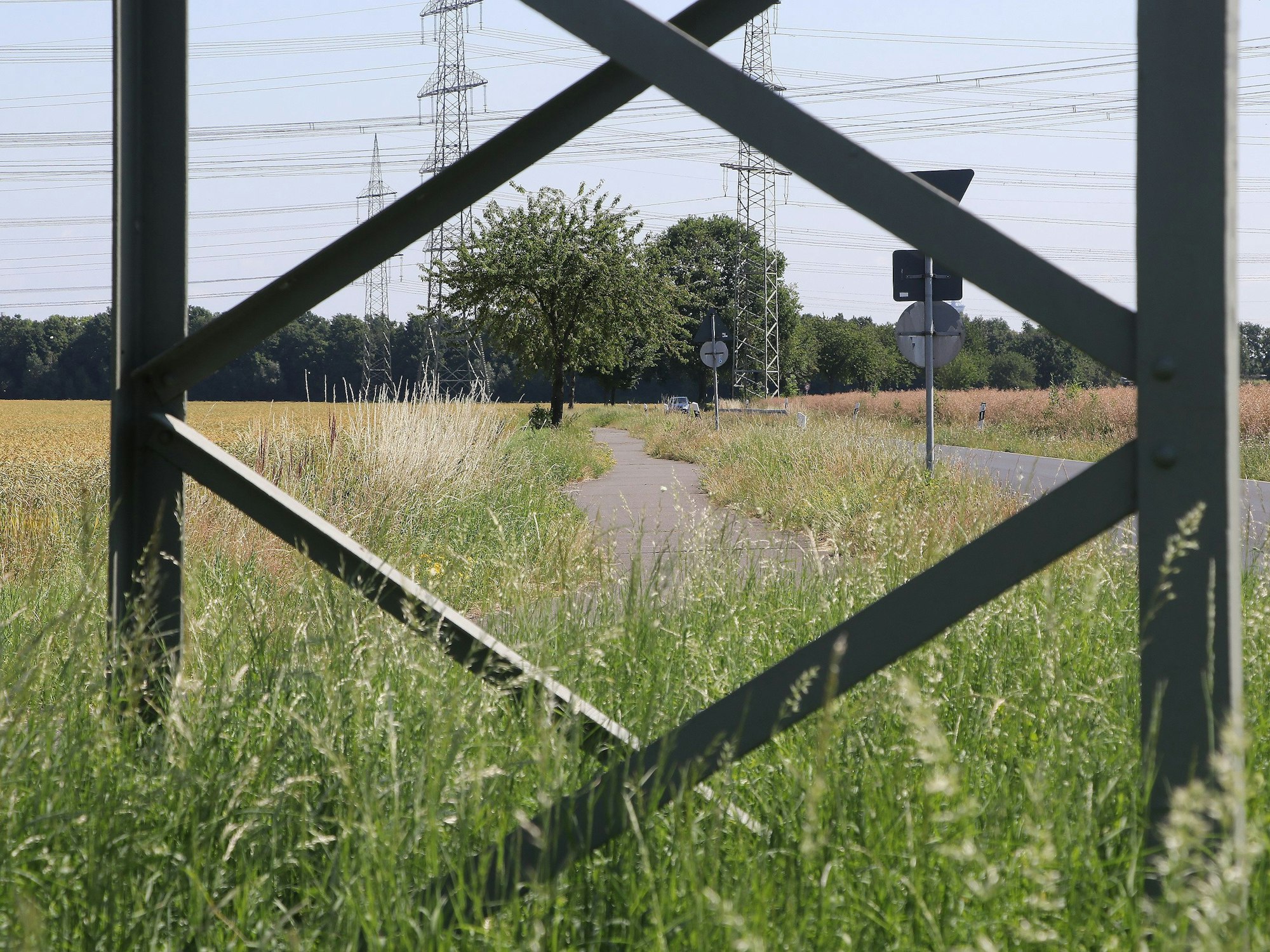 Auf dem Bild ist ein Radweg durch Felder zu sehen.