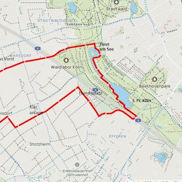 Auf dem Bild ist ein Stadtplan mit der markierten Route der Tour zu sehen.