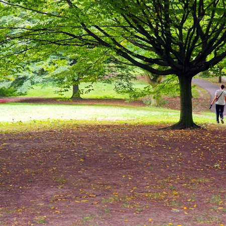 Im Vorgebirgspark in Zollstock werden in den vergangenen zwei Wochen vermehrt tote Kaninchen gefunden. Die Hundehalter sind besorgt, dass ihre Tiere sich anstecken könnten.