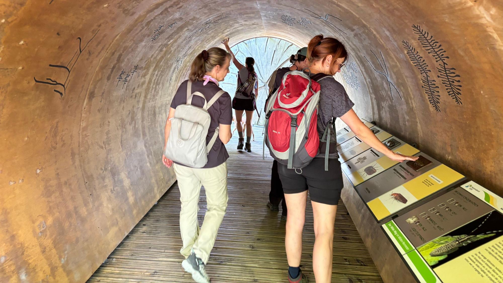 Mehrere Frauen gehen durch den Tunnel auf dem Lehrpfad „Wilder Weg“, auf der rechten Seite befinden sich Infotafeln.