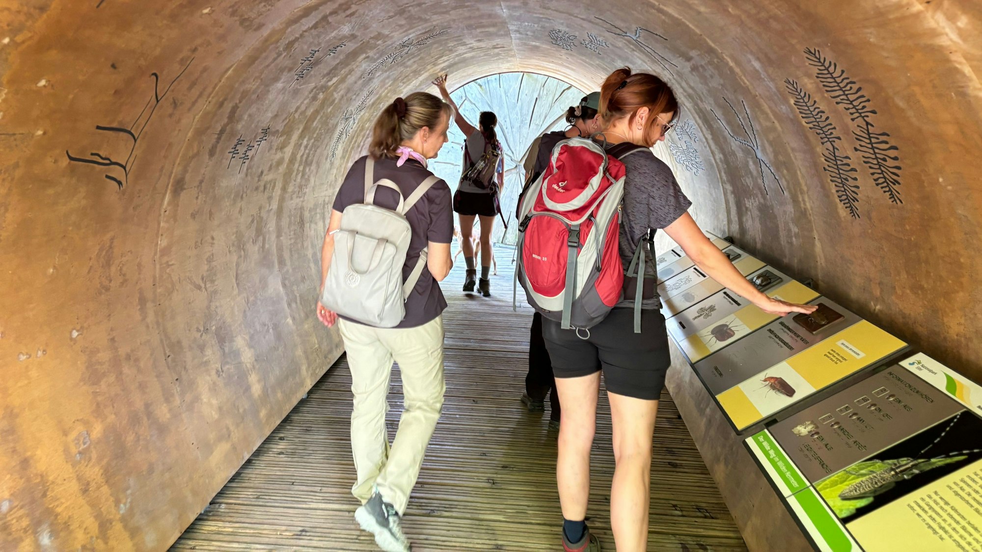 Mehrere Frauen gehen durch den Tunnel auf dem Lehrpfad „Wilder Weg“, auf der rechten Seite befinden sich Infotafeln.