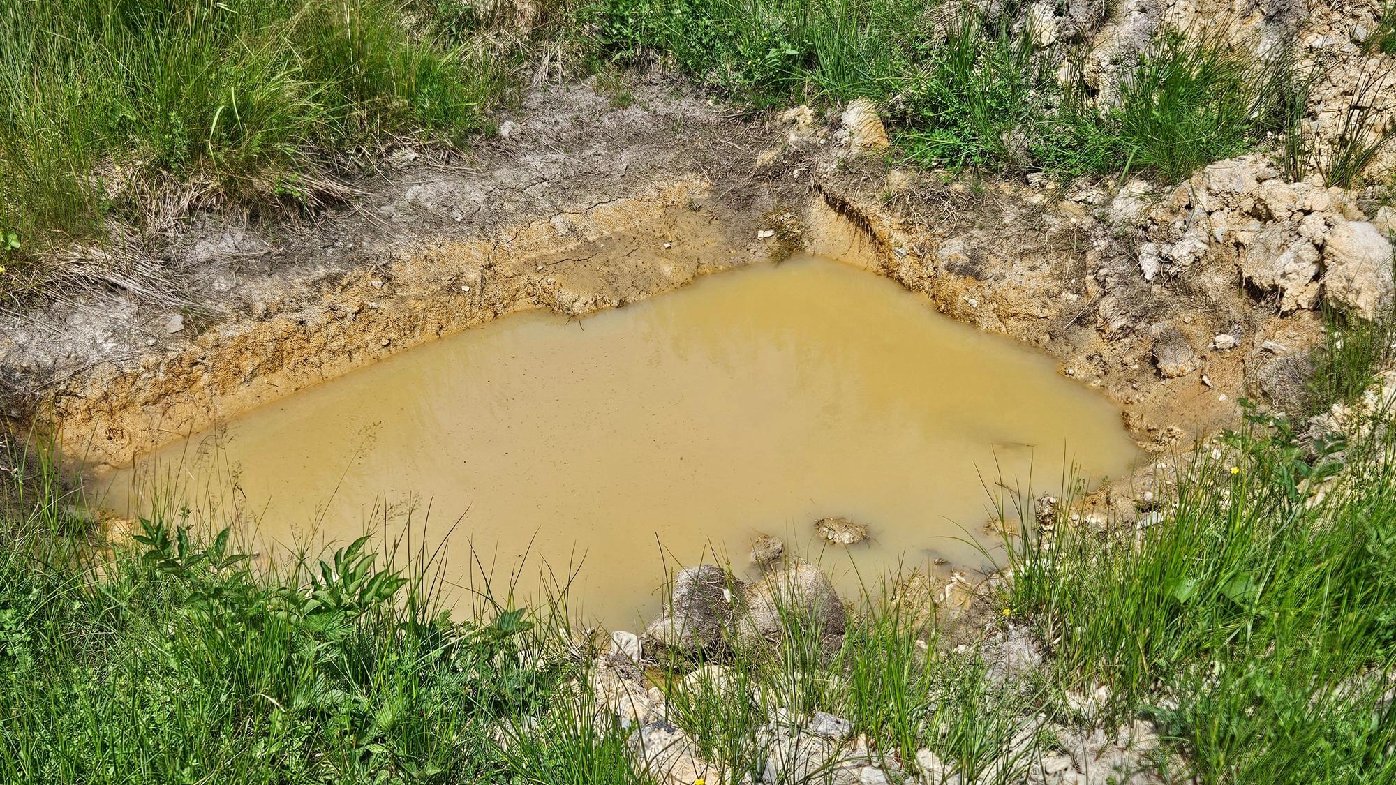In einer ausgehobenen Mulde auf einer Wiese hat sich von der Erde braun verfärbtes Wasser gesammelt.