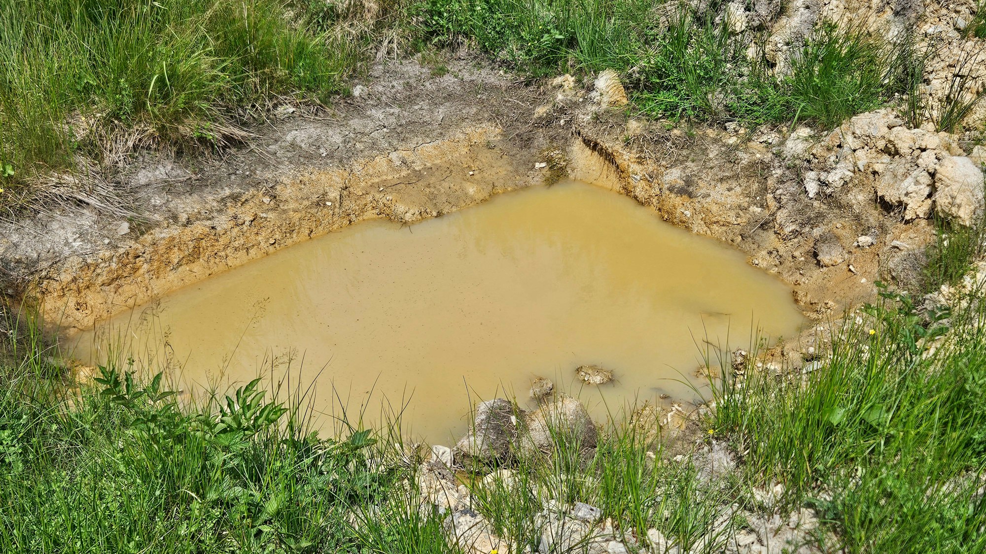 In einer ausgehobenen Mulde auf einer Wiese hat sich von der Erde braun verfärbtes Wasser gesammelt.