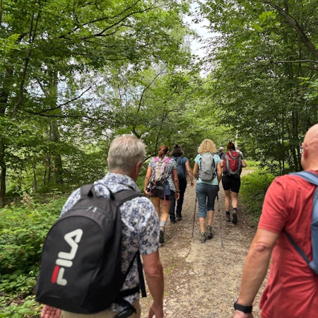 Eine Gruppe Menschen, von hinten fotografiert, geht durch den Wald.