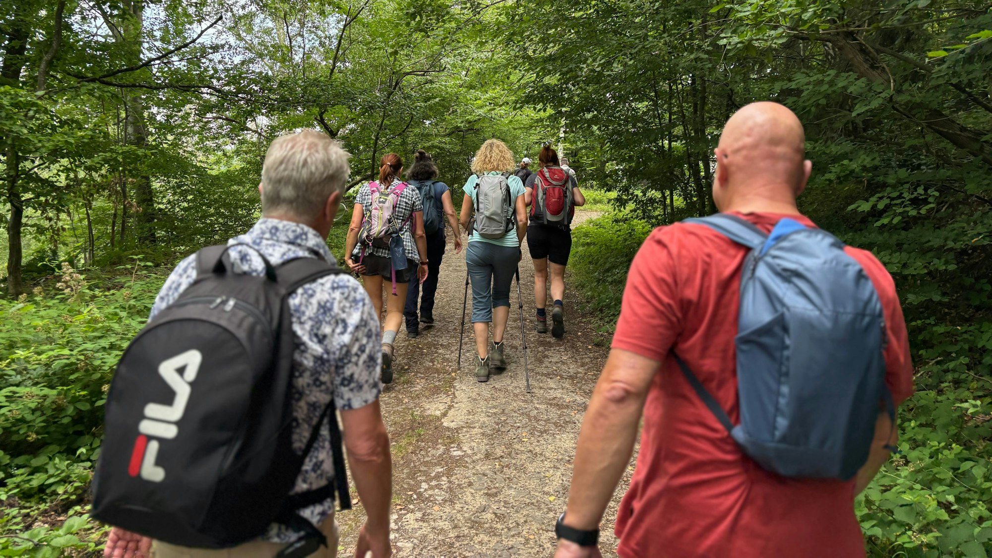 Eine Gruppe Menschen, von hinten fotografiert, geht durch den Wald.