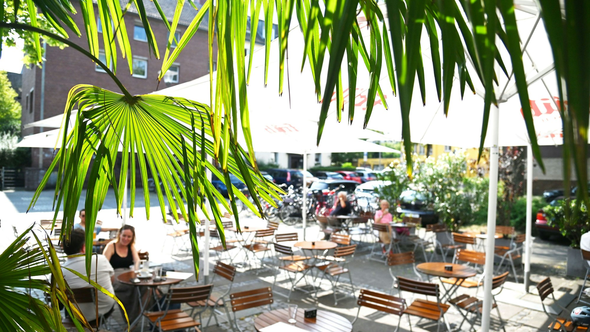 Durch Palmenblätter sieht man auf einen Platz mit Tischen, Stühlen und Sonnenschirmen.