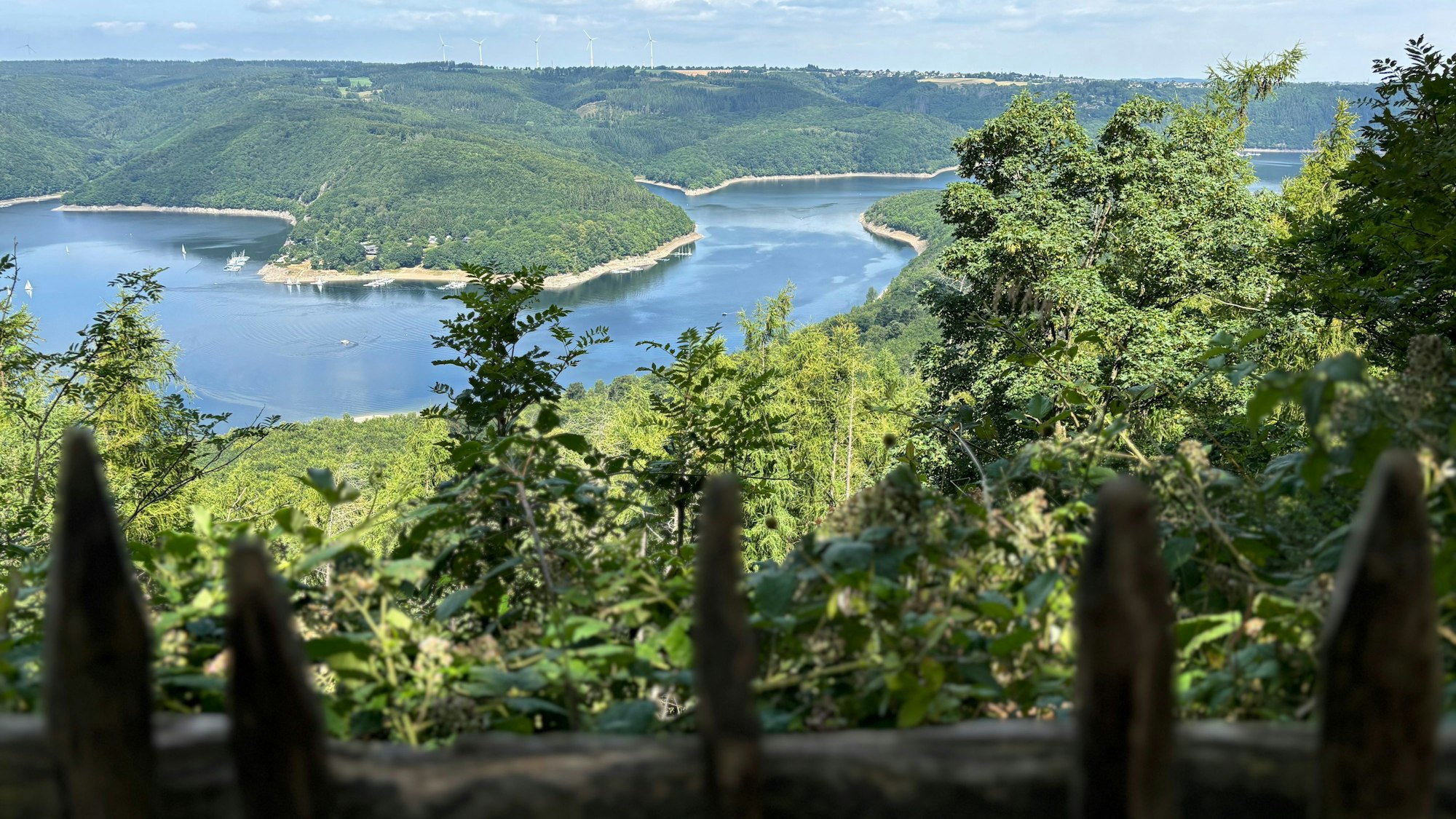 Die Aufnahme zeigt den Rursee, der sich durch die grüne Landschaft schlängelt.