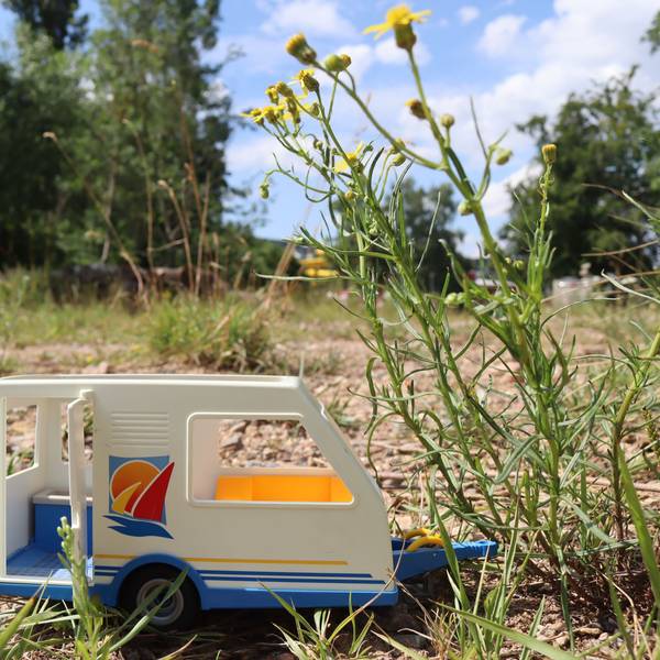 Ein kleiner Spielzeug-Wohnwagen steht auf einem leeren Feld zwischen ein paar Pflanzen in Bad Münstereifel.