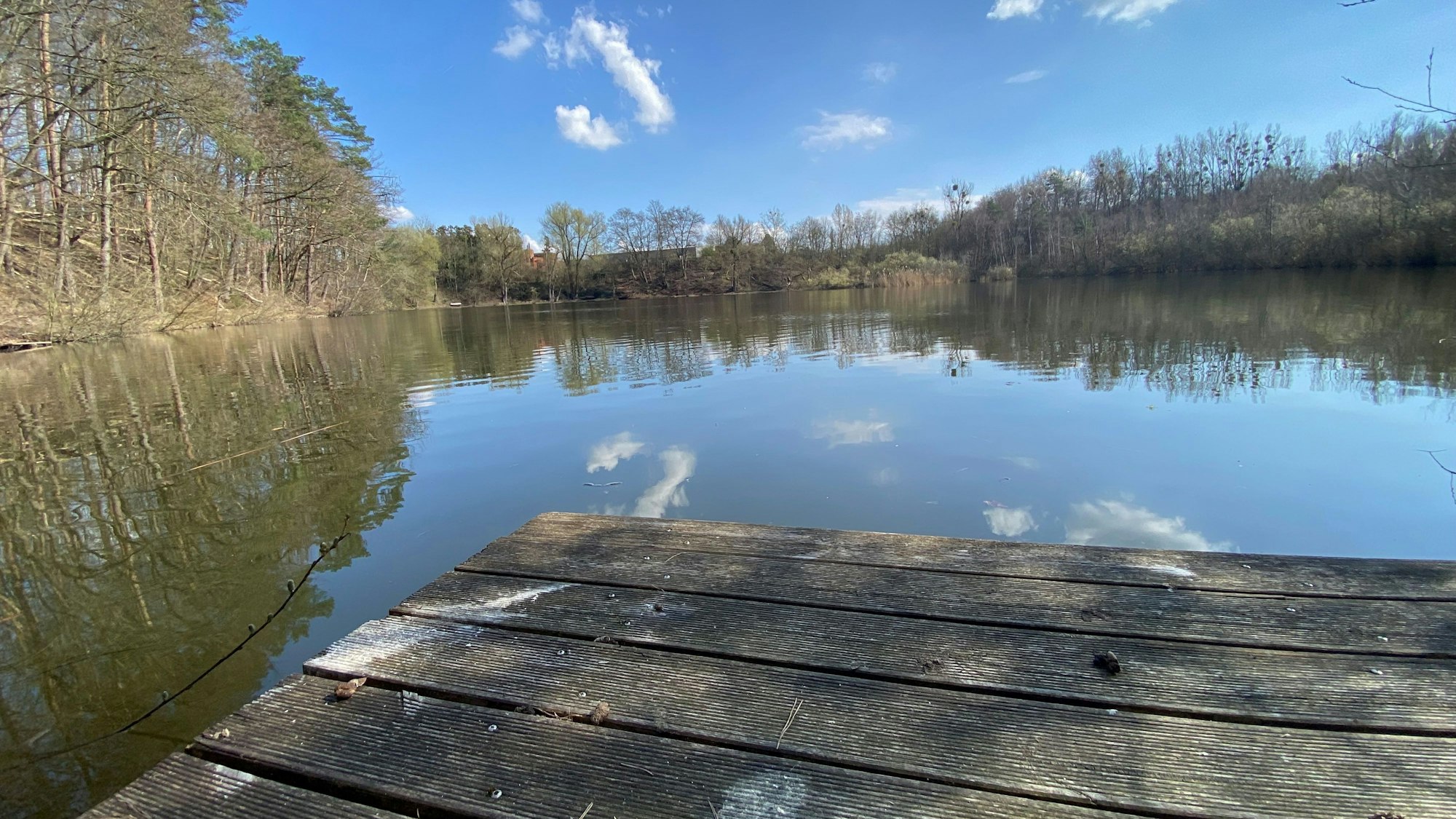 Eine Bebauung des Naturschutzgebietes rund um den sogenannten Ententeich durch das Phantasialand lehnen Naturschützer ab.