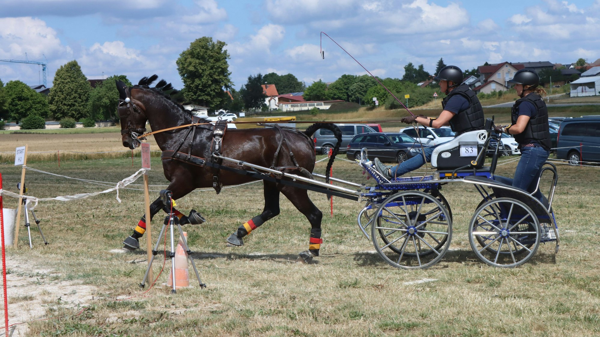 Alexandra Sievers fährt eine Kutsche, die von einem schwarzen Pferd gezogen wird.