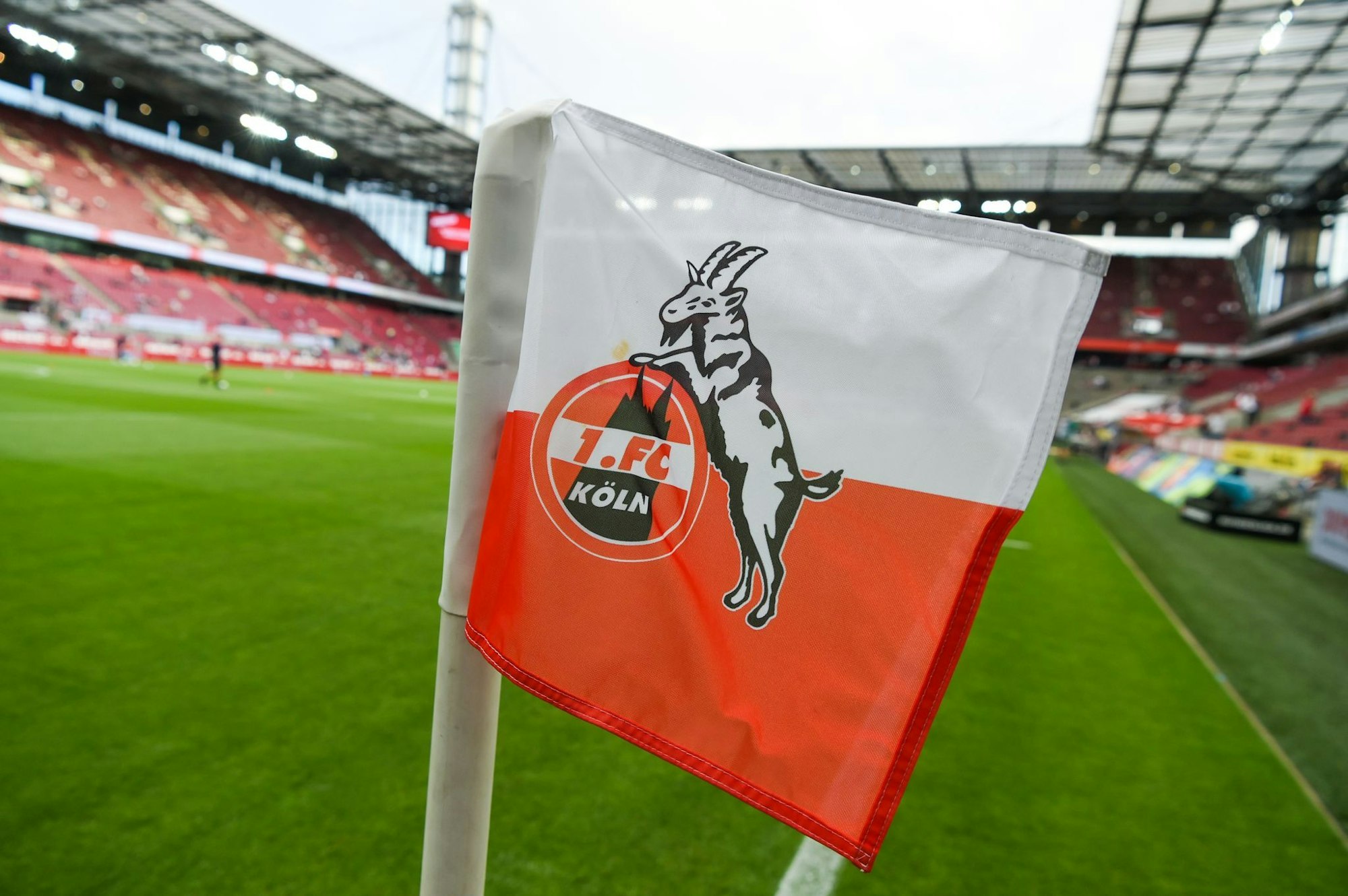 Der 1. FC Köln verleiht Stürmer Onuoha erneut zum SC Verl.