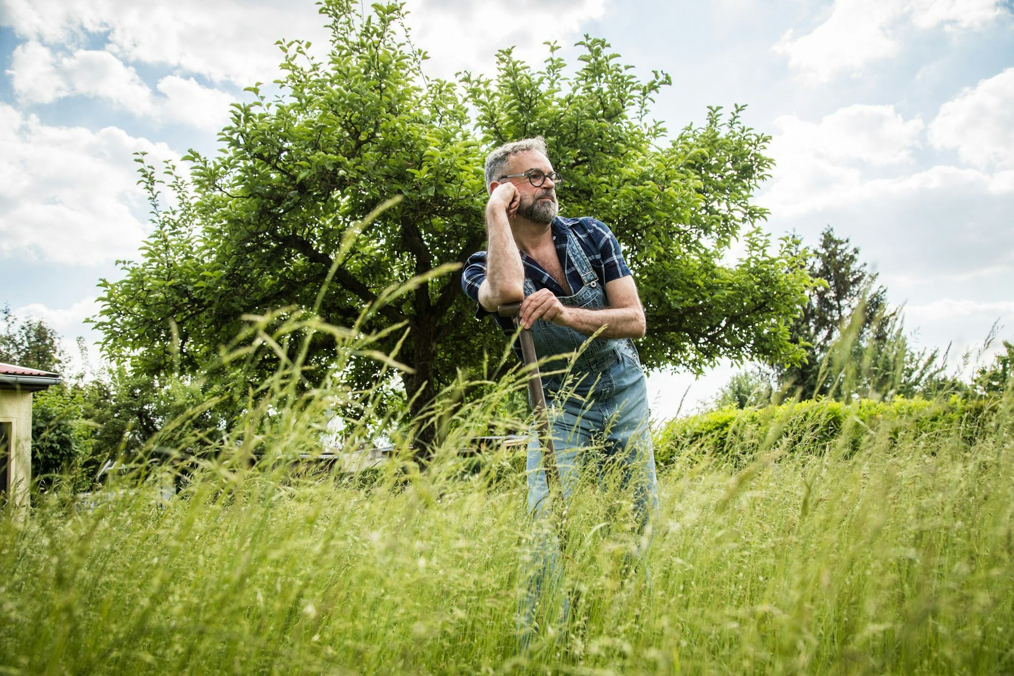 Wer eine Grünfläche im Garten haben will, hat viele Optionen: Rasen, Wiese - oder Kräuterrasen.