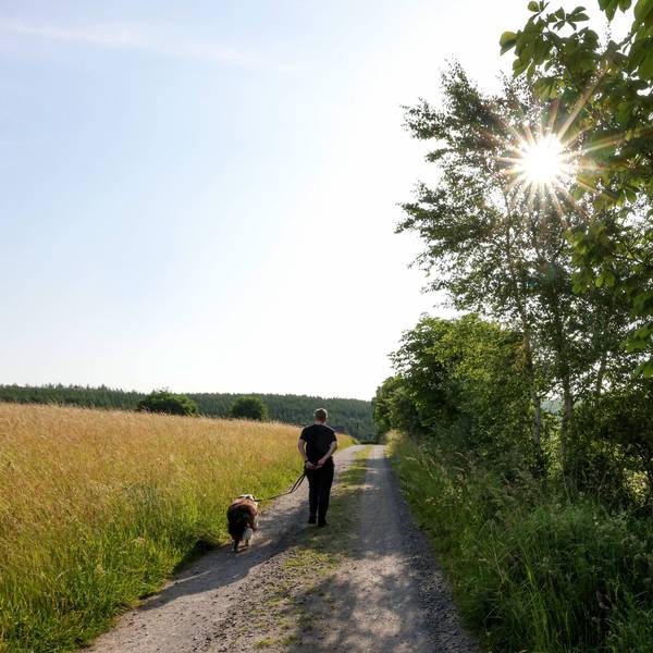 Eine Frau geht bei Sonnenschein zwischen Feldern mit ihrem Hund spazieren.