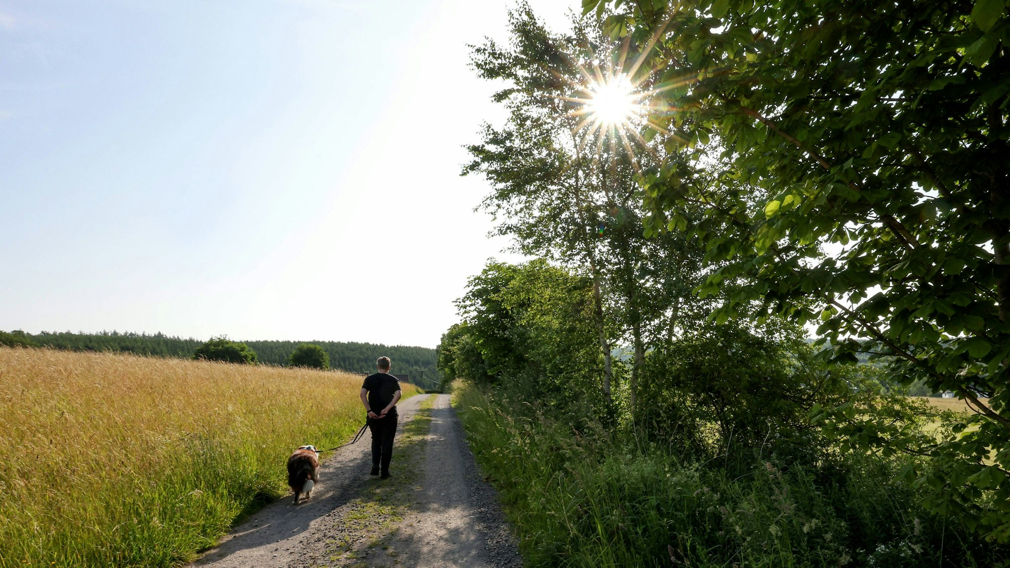 Eine Frau geht bei Sonnenschein zwischen Feldern mit ihrem Hund spazieren.