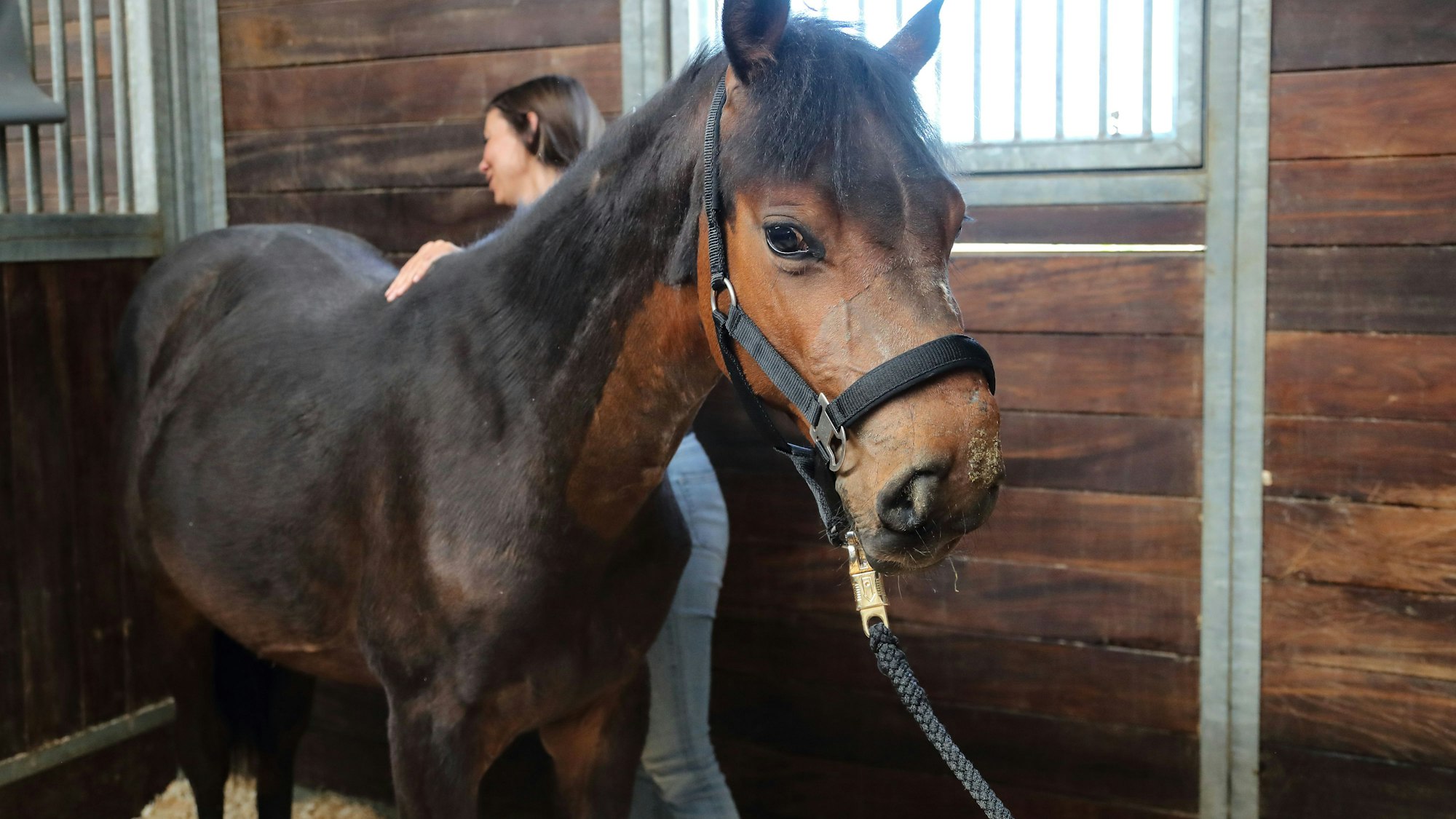 Die Tierärztin der Hanseklinik für Pferde in Sittensen Andrea Noguera mit Clippy.