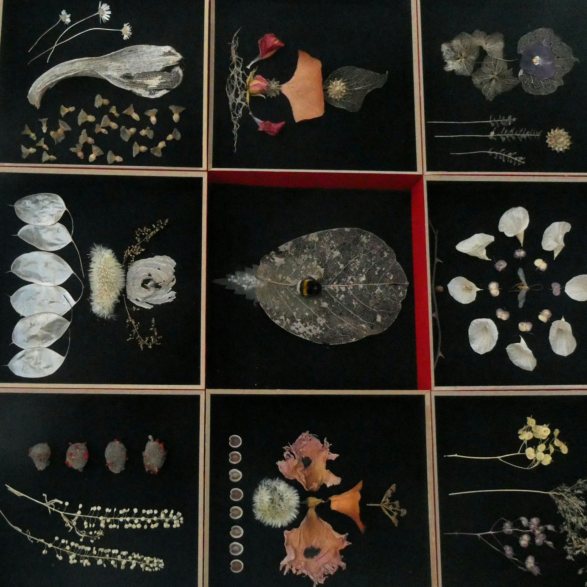 Gedok-Ausstellung im Siegburger Stadtmuseum
neunerlei Natur von Traudel Lindauer