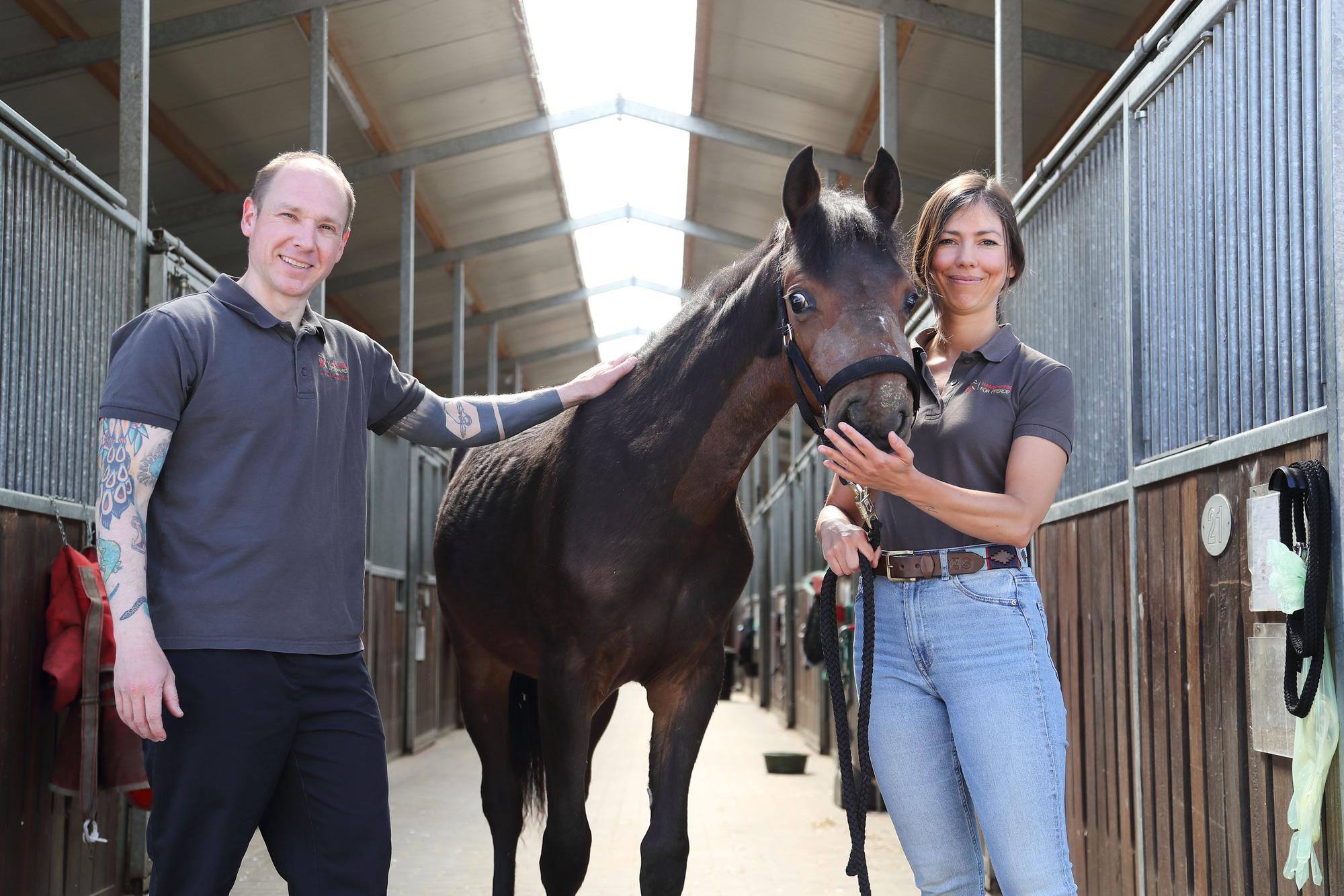 Die behandelnden Tierärzte der Hanseklinik für Pferde in Sittensen, Olivier Brandenberger und Andrea Noguera, stehen mit Clippy in der Stallgasse.