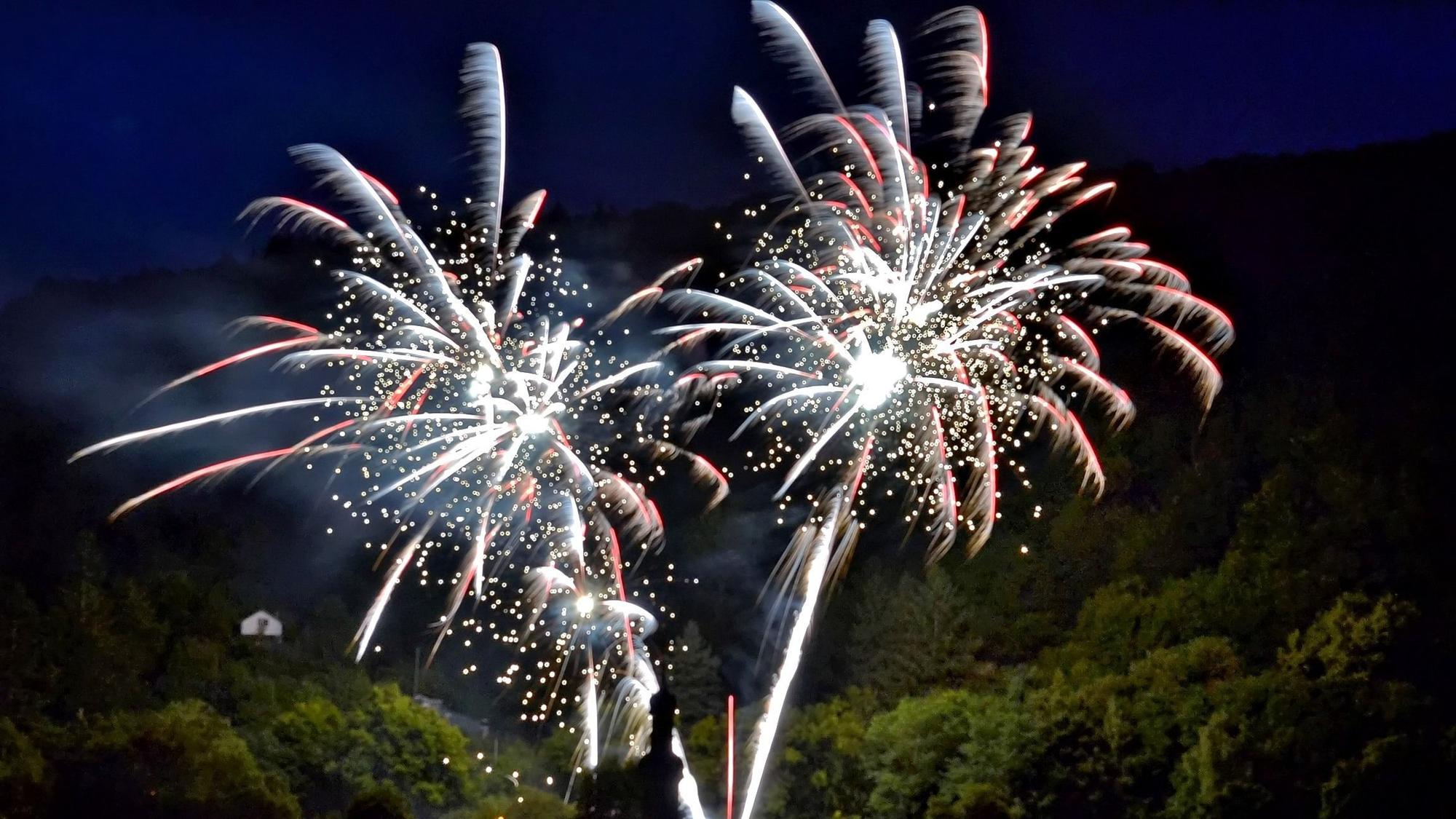 Vor einem dunklen Himmel explodieren Feuerwerkskörper.