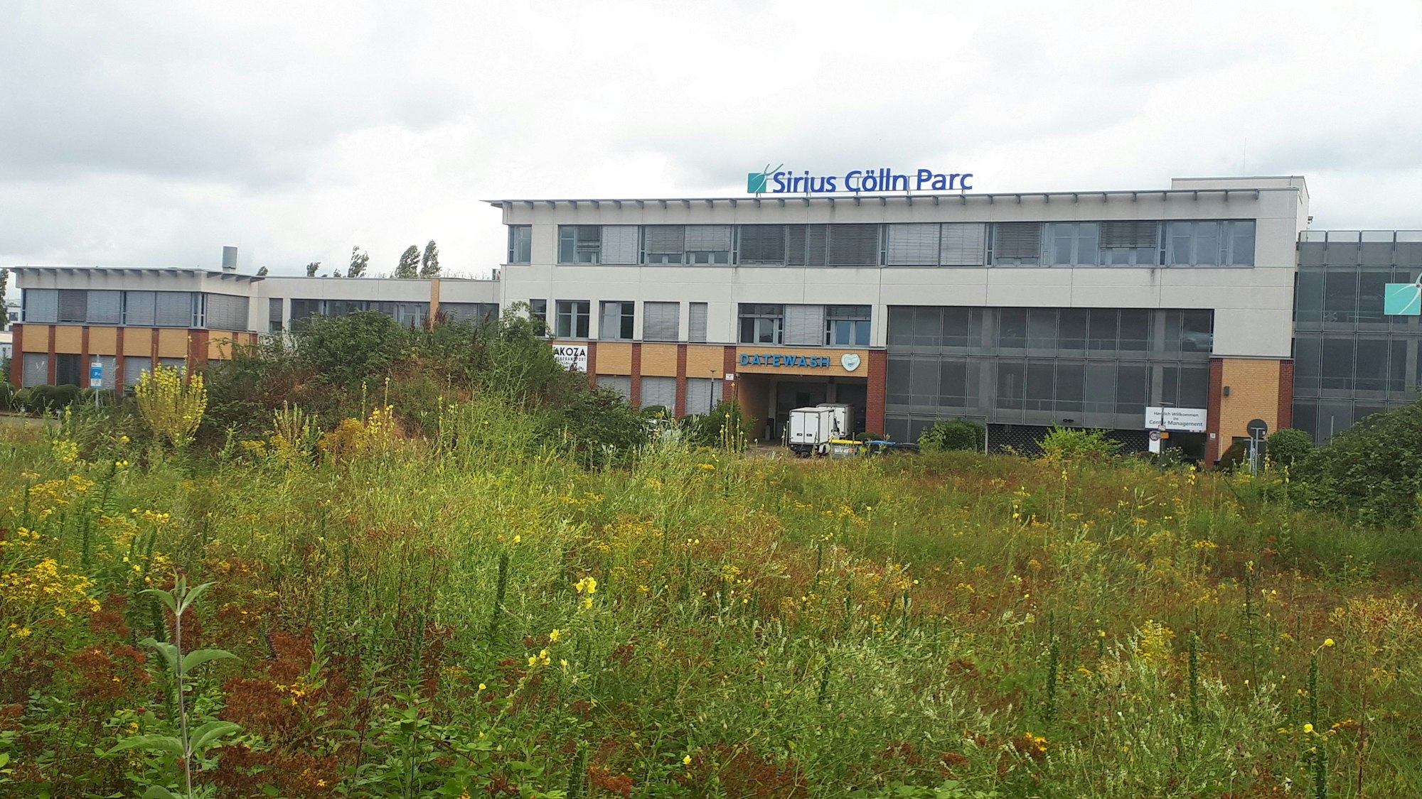 Eine grün bewucherte Brachfläche (im Vordergrund), auf der eine Dreifachturnhalle entstehen könnte. Im Hintergrund ist ein Bürogebäude von Sirius Cölln Parc zu sehen.