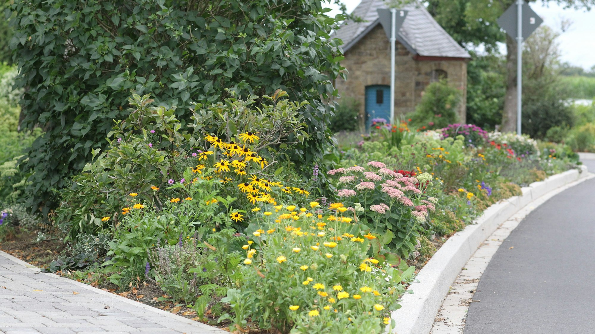 Blumen in mehreren Farben blühen in Winterscheid direkt gegenüber der Kapelle.