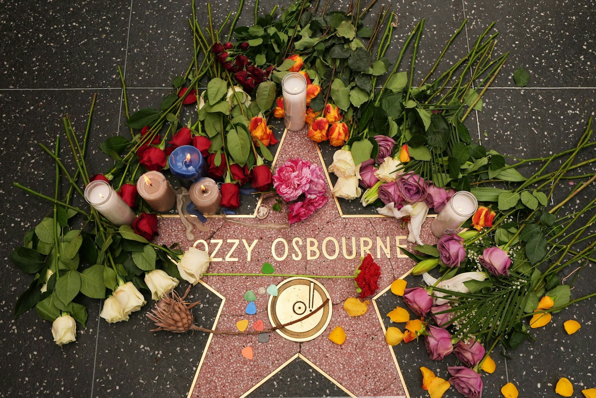 Blumen liegen um den Stern für Ozzy Osbourne auf dem Hollywood Walk of Fame.