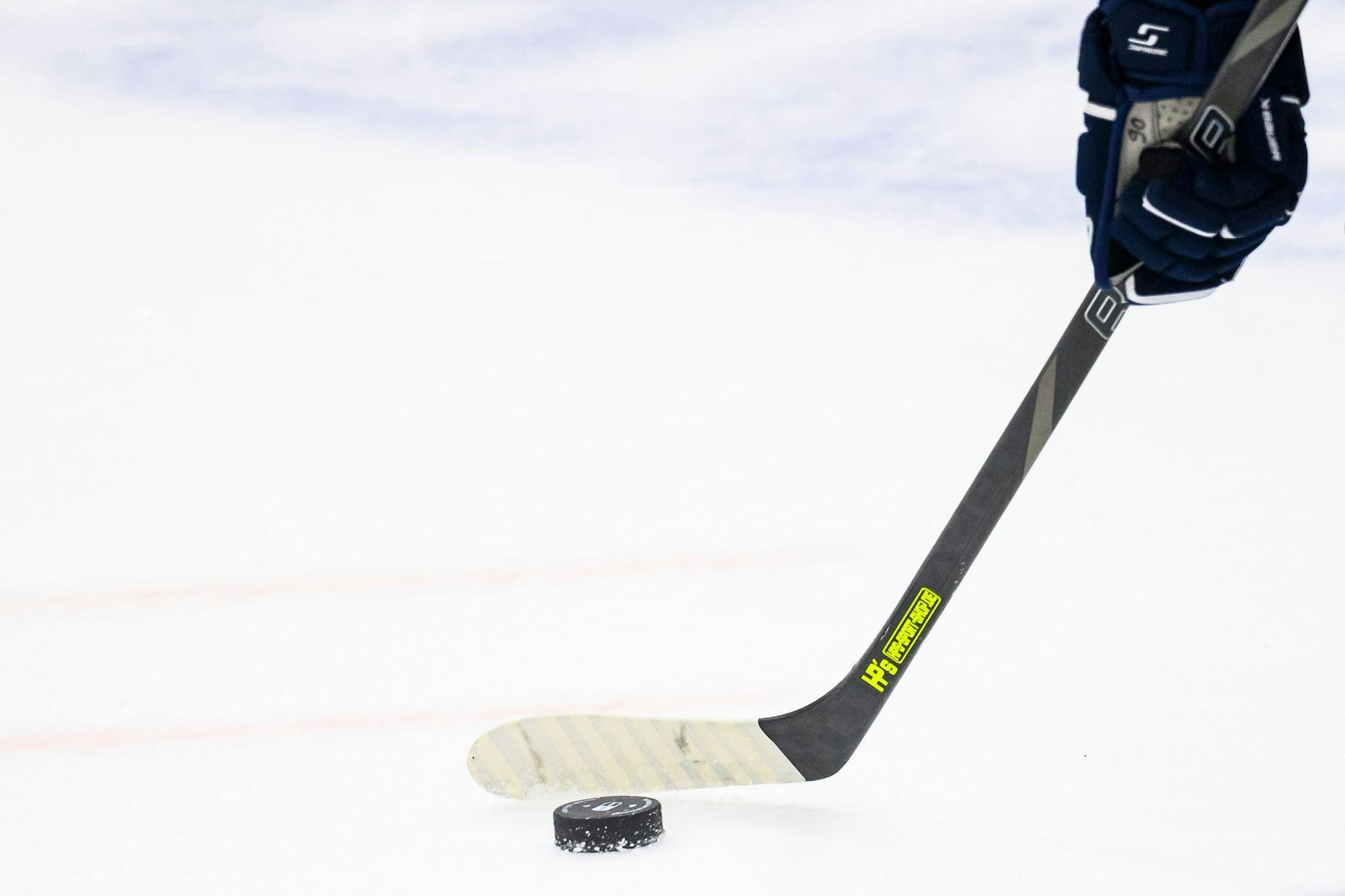 Die Iserlohn Roosters haben einen neuen Eishockey-Profi verpflichtet