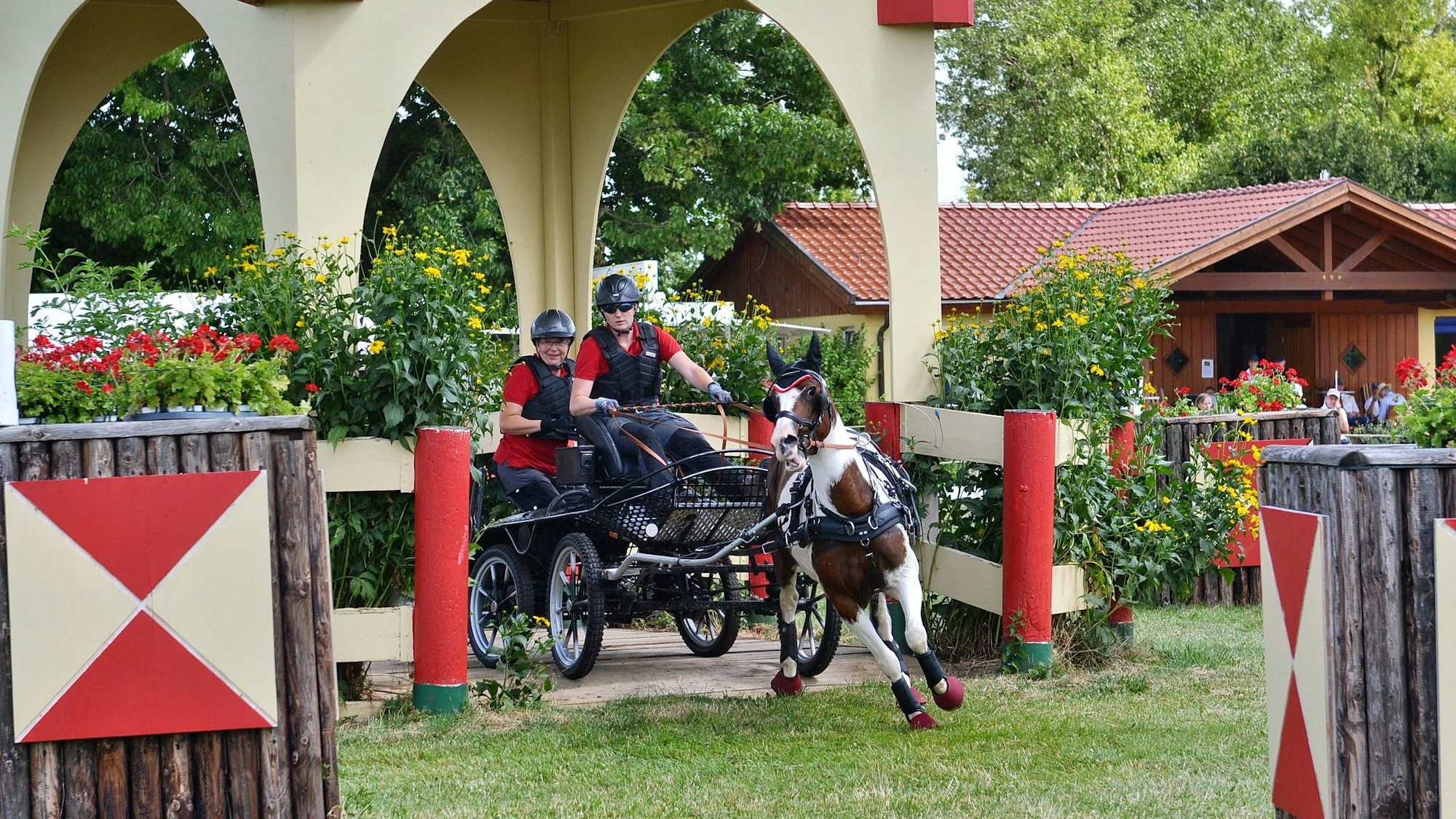 Ein Pferdegespann kommt aus einem prächtigen Hindernis herausgefahren.