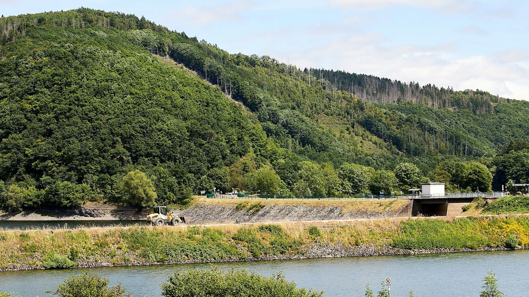 Der Rursee liegt vor einem Wald in einer hügeligen Landschaft.