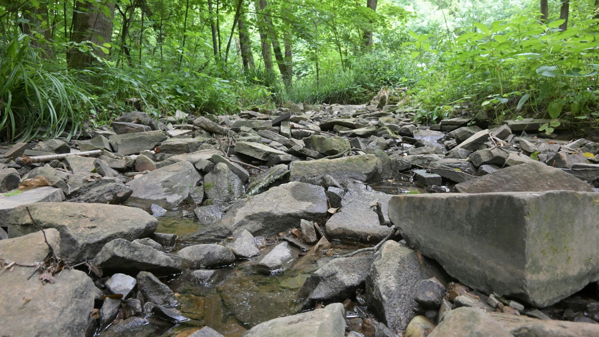 Das Flussbett eines ausgetrockneten Gewässers besteht hauptsächlich aus Steinen.