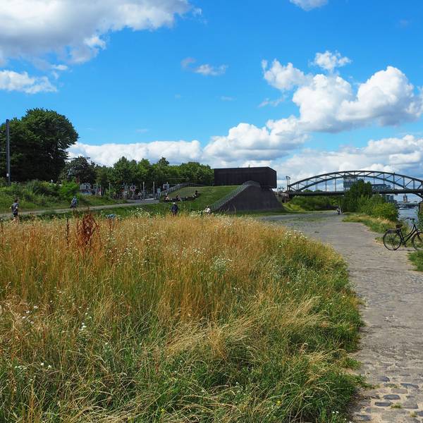 Rheinufer mit Blick auf Südbrücke und Kranhäuser.