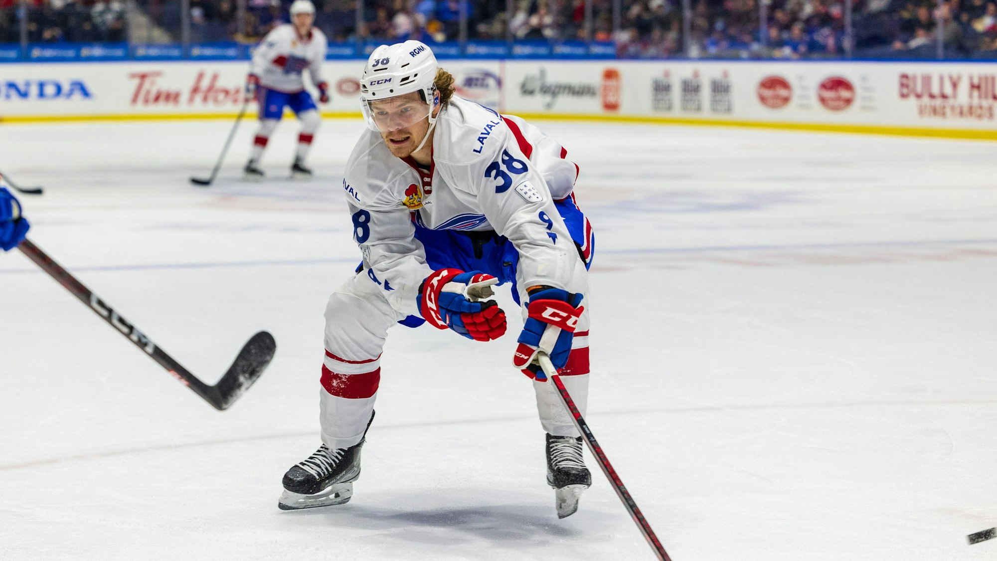 Nate Schnarr stürmt in der kommenden Saison in der Deutschen Eishockey Liga für die Kölner Haie.