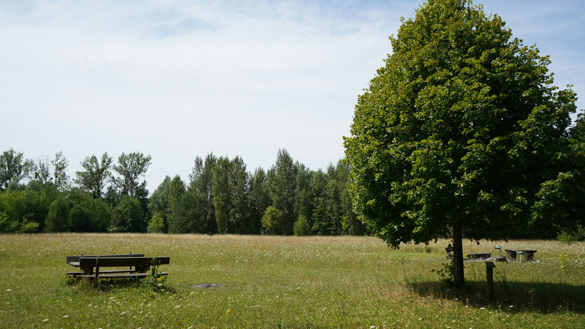 Das Foto zeigt eine Picknickwiese.