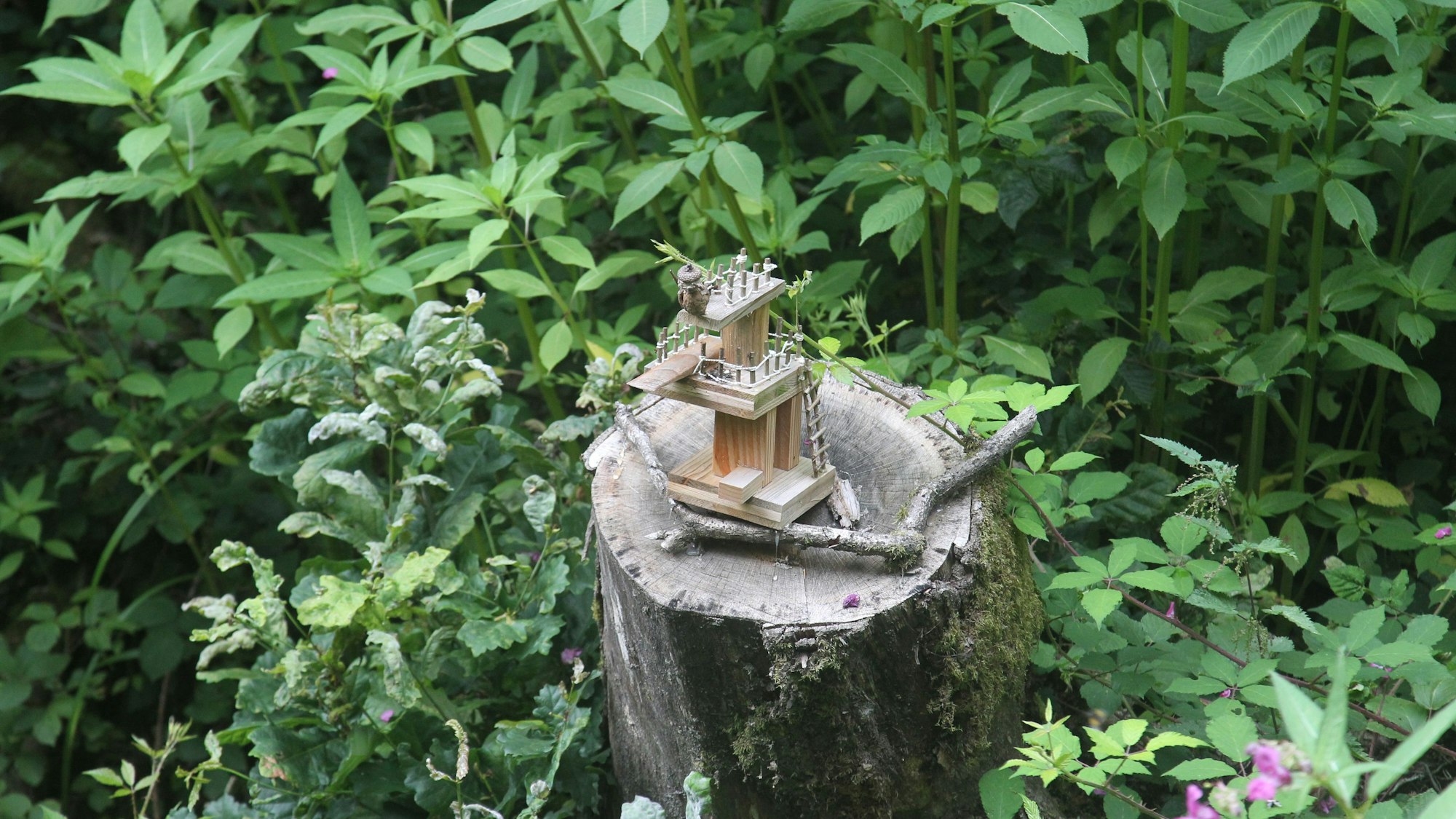 Ein Wichtel steht auf einem Sprungturm und will in den Mengbach springen.
