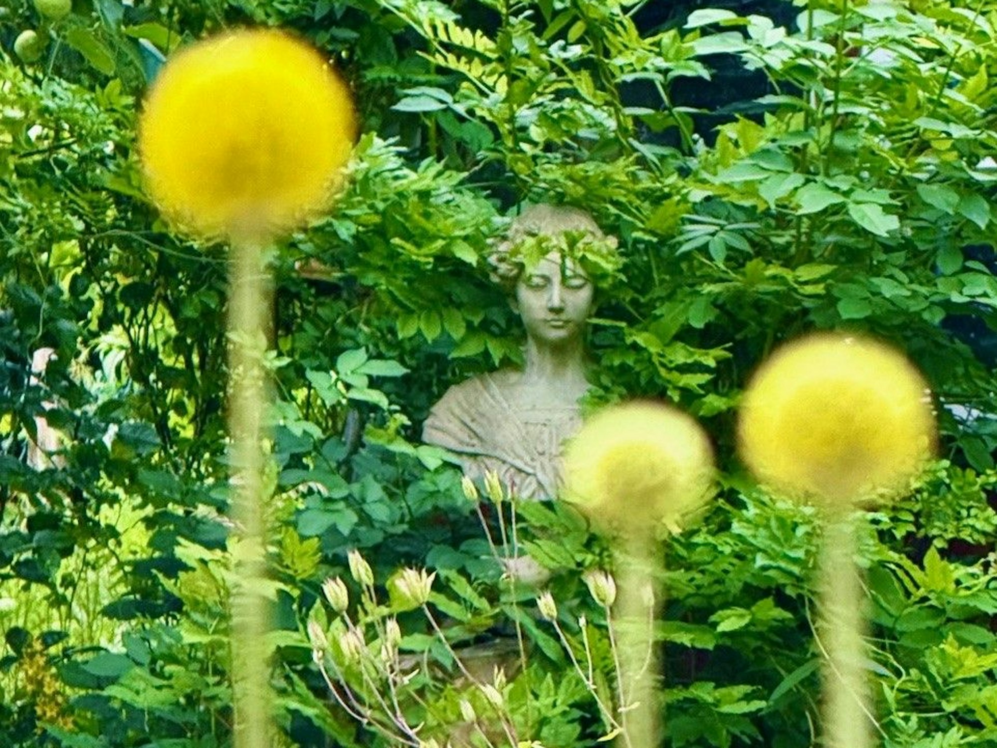 Eine Statue in einem Garten. Davor in der Unschärfe die gelbe Pflanze „Trommel-Stöckchen“.