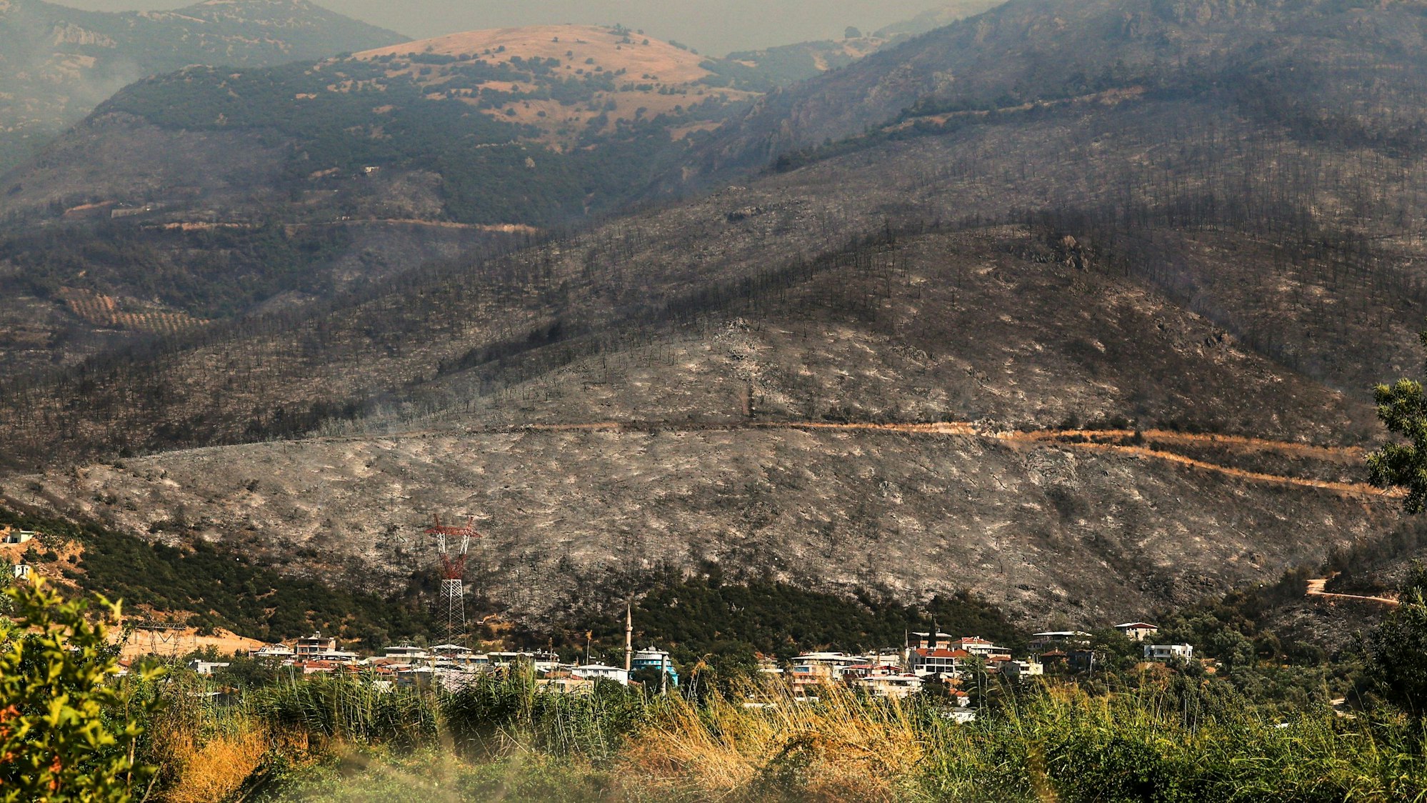 Türkei, Bursa: Blick auf verkohlte Bäume und verbranntes Land nach einem Waldbrand.