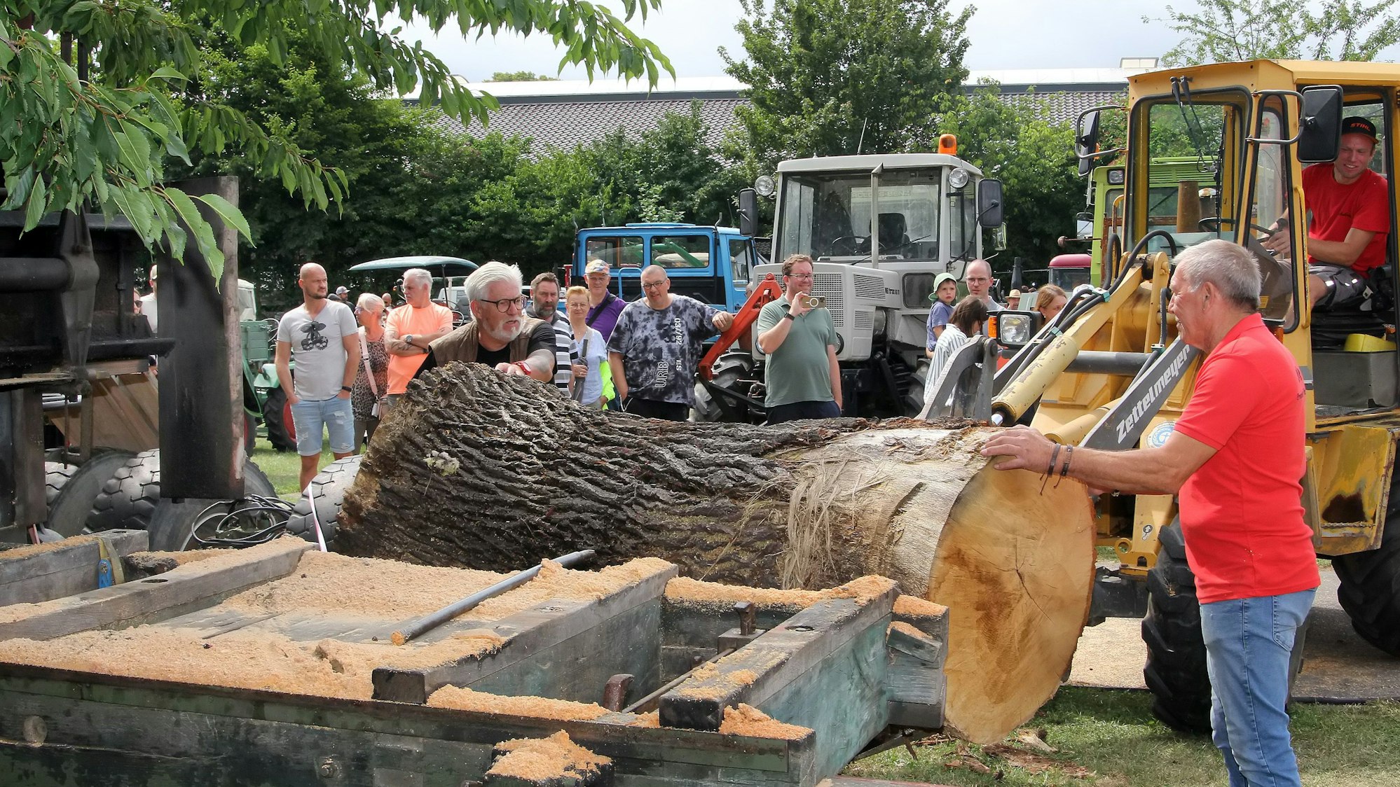Das Foto zeigt ein Horizontalsägegatter.