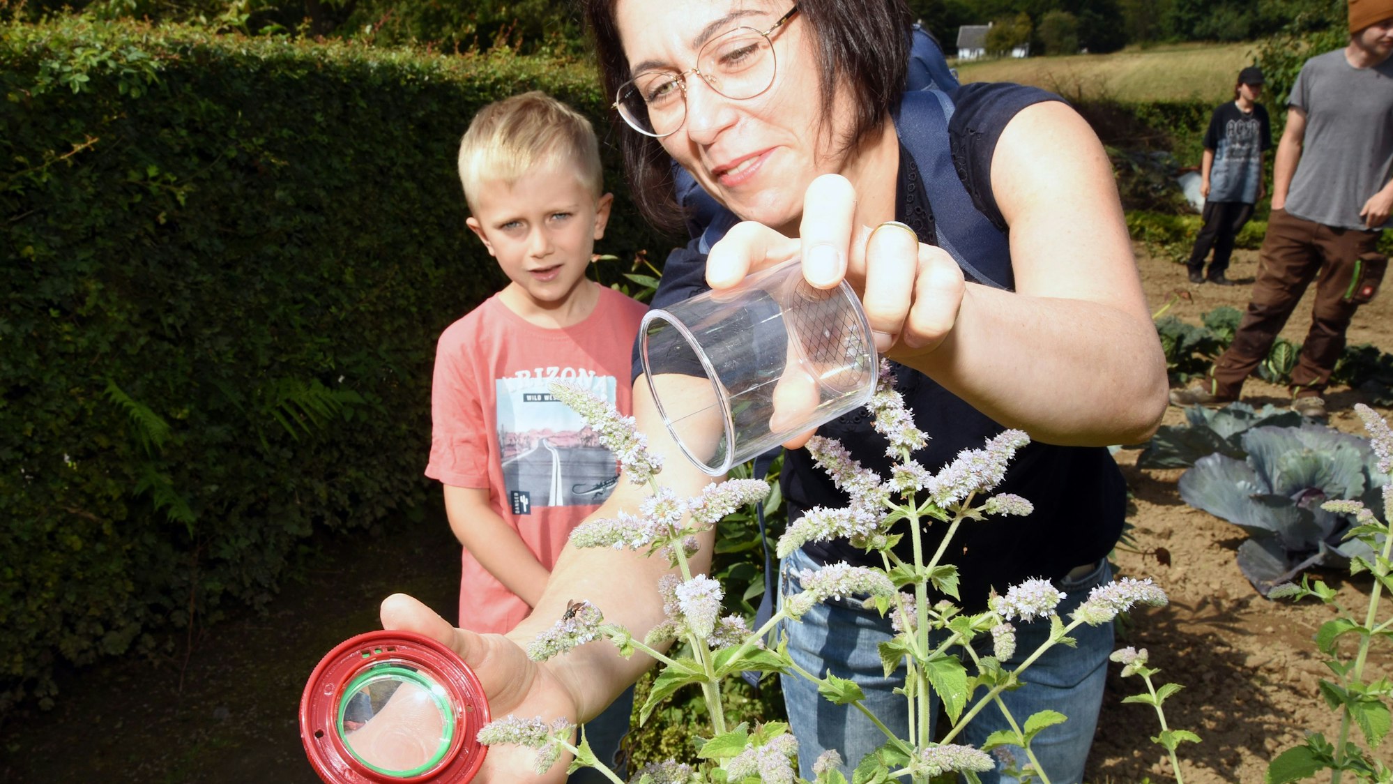 Mit einer Becherlupe ließen sich die Insekten in neuen Naturgarten des LVR-Freilichtmuseums in Lindlar gleich viel besser betrachten.