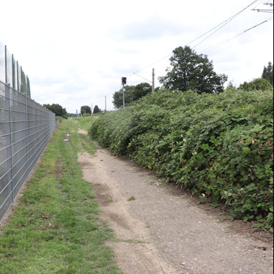Das Foto zeigt einen Feldweg.