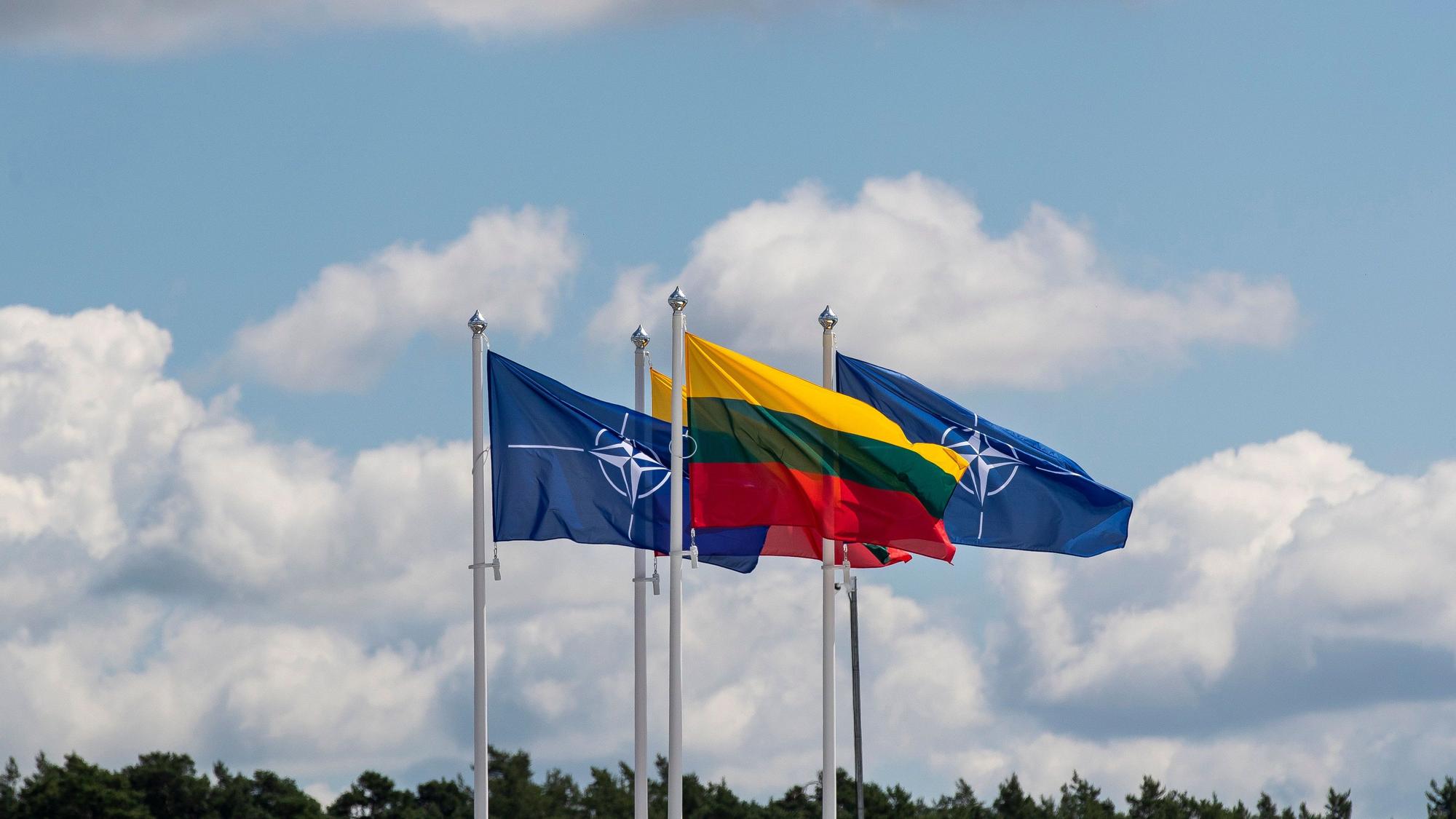 Flaggen der NATO-Mitgliedsländer wehen im Wind vor dem Veranstaltungsort des NATO-Gipfels in Vilnius. (Archivbild)
