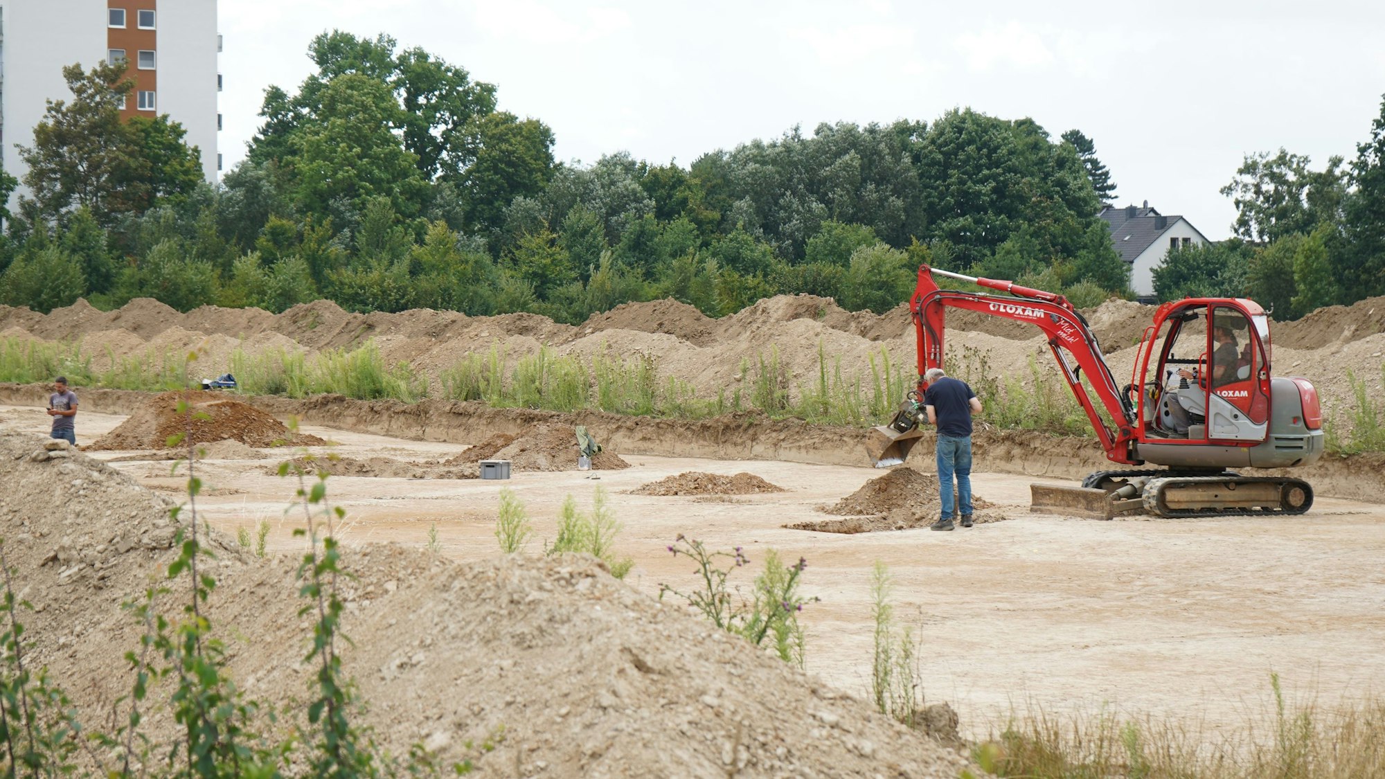 Das Foto zeigt eine archäologische Grabung.