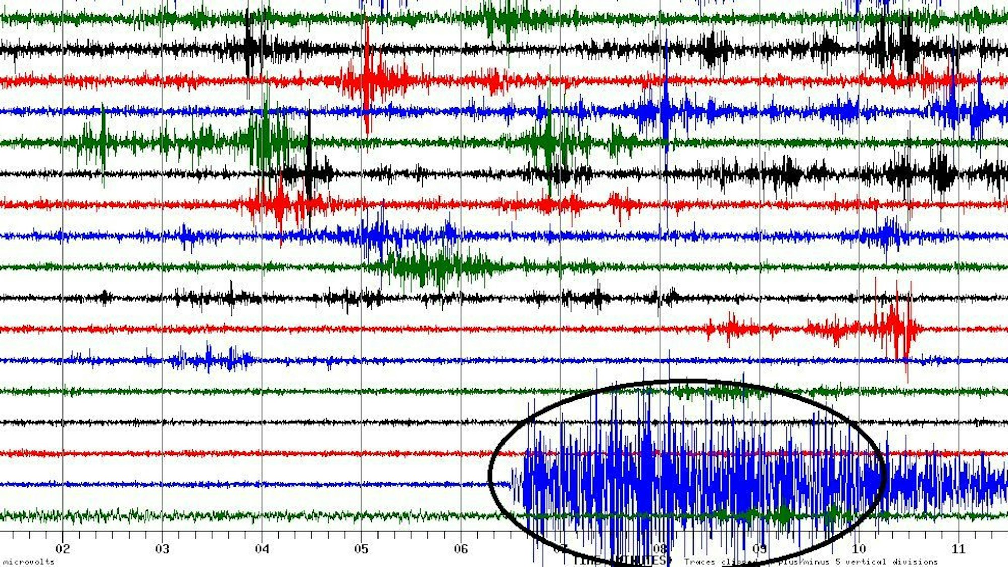 Auf dem Sensor an der Station Bonn-Bechlinghoven an der Grenze zu Sankt Augustin war das Seebeben im Pazifik deutlich sichtbar.