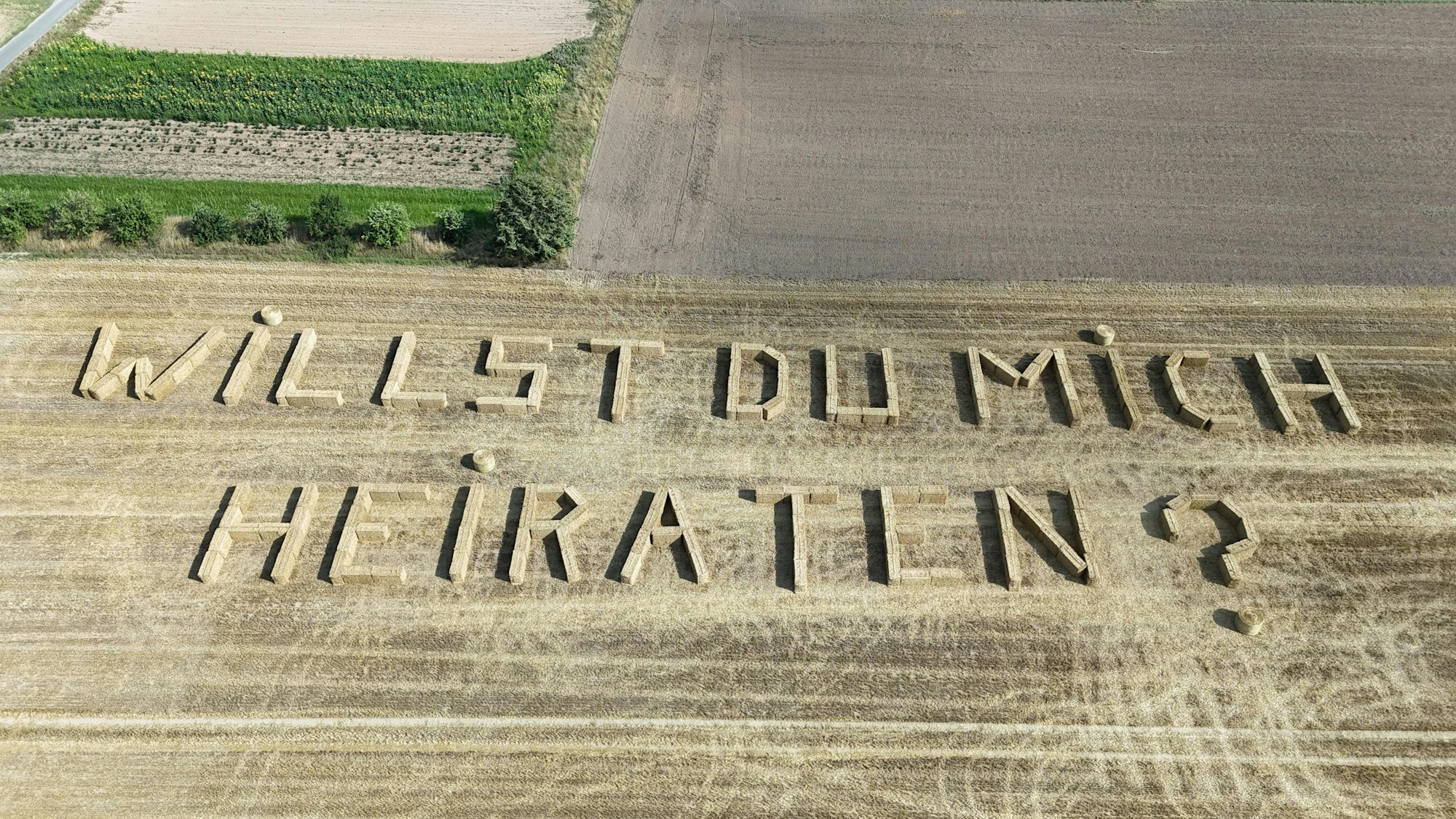 Aus 178 Strohballen wurde der Heiratsantrag auf dem Feld gebaut.