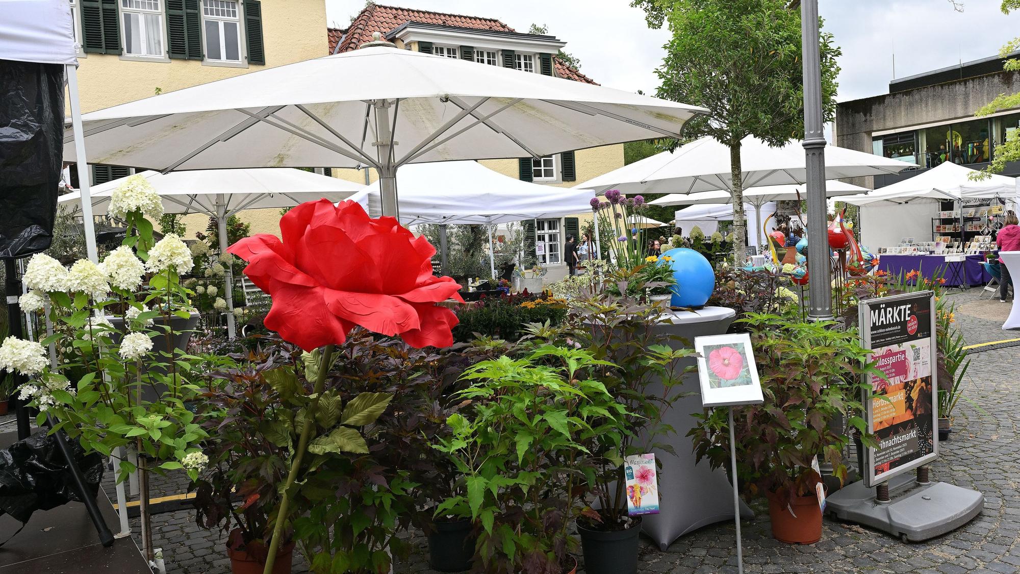 Eine Rose vor den Ständen im Schlosshof.