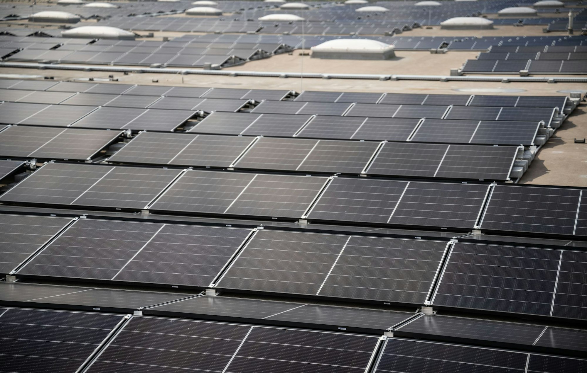 Das Tempo beim Solarausbau in NRW hat etwas nachgelassen: Von Januar bis Juni wurden in NRW 20 Prozent weniger neue Anlagen installiert als im Vorjahreszeitraum. (Symbolbild)