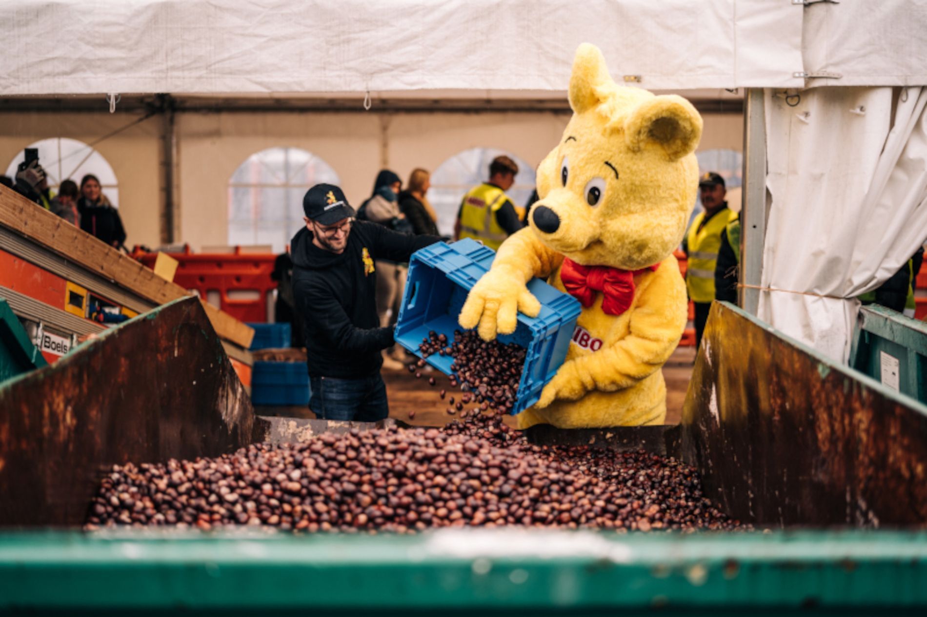 Der Haribo-Goldbär hilft bei der Kastanien-Aktion 2022. Für 2026 musste das Unternehmen die beliebte Aktion leider absagen.