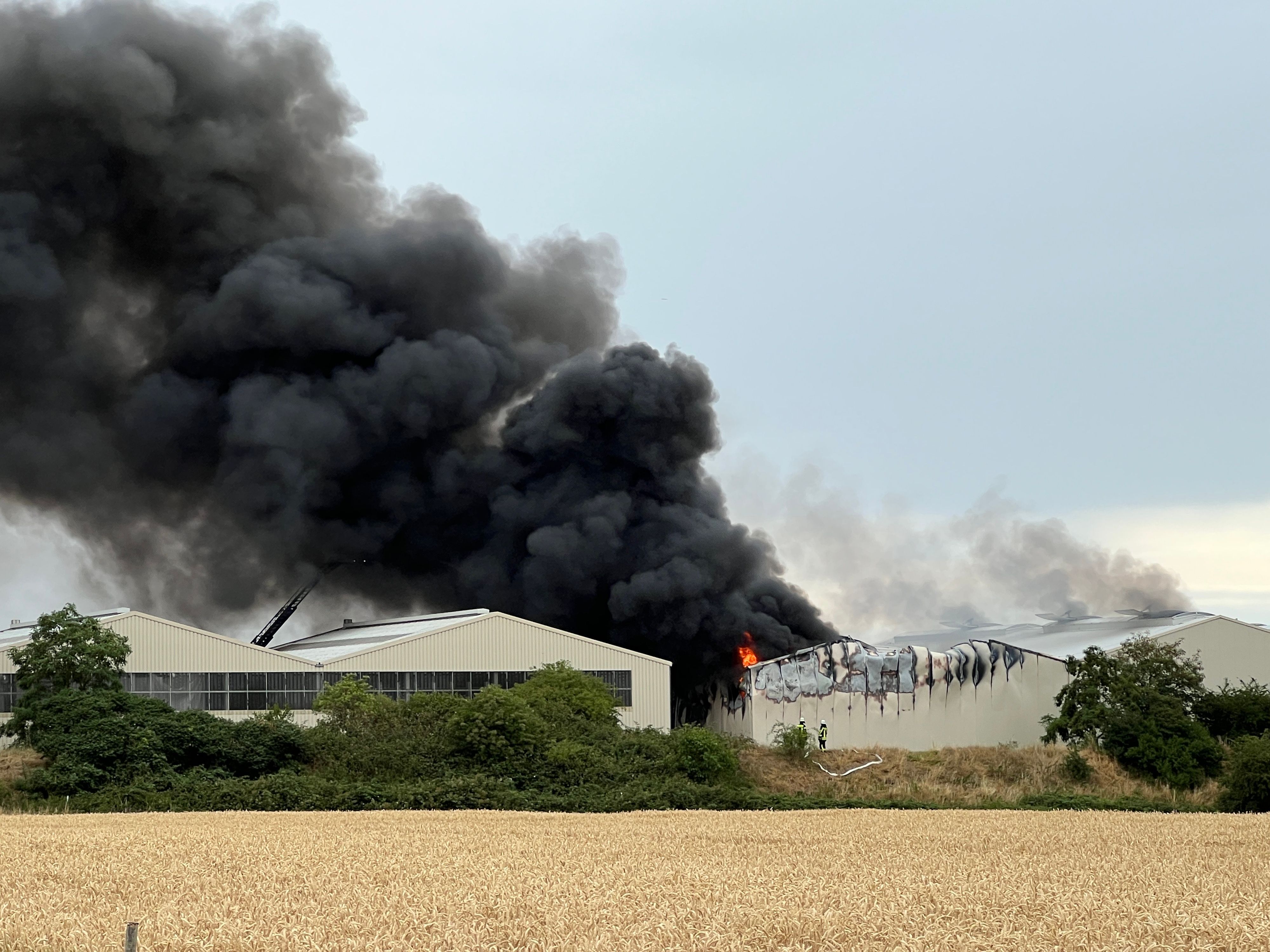 Eine dunkle Rauchwolke war bei dem Brand in einem Entsorgungsbetrieb in Swisttal im Juli 2025 kilometerweit zu sehen. (Archivbild)