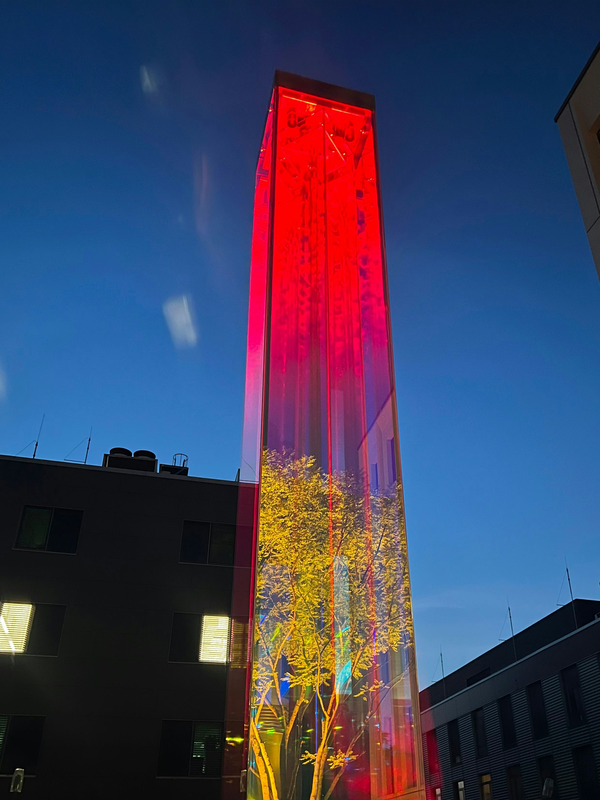 Glasskulptur mit eingearbeitetem Baum