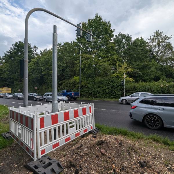 Das Bild zeigt einen Ampelmast im Bereich der Unfallstelle.