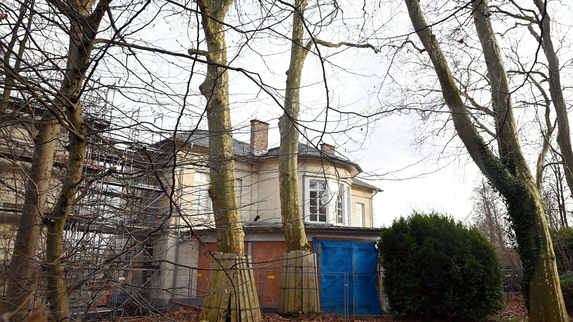 Mehrere Bäume stehen teils eingezäunt vor einem großen freistehenden Gebäude.