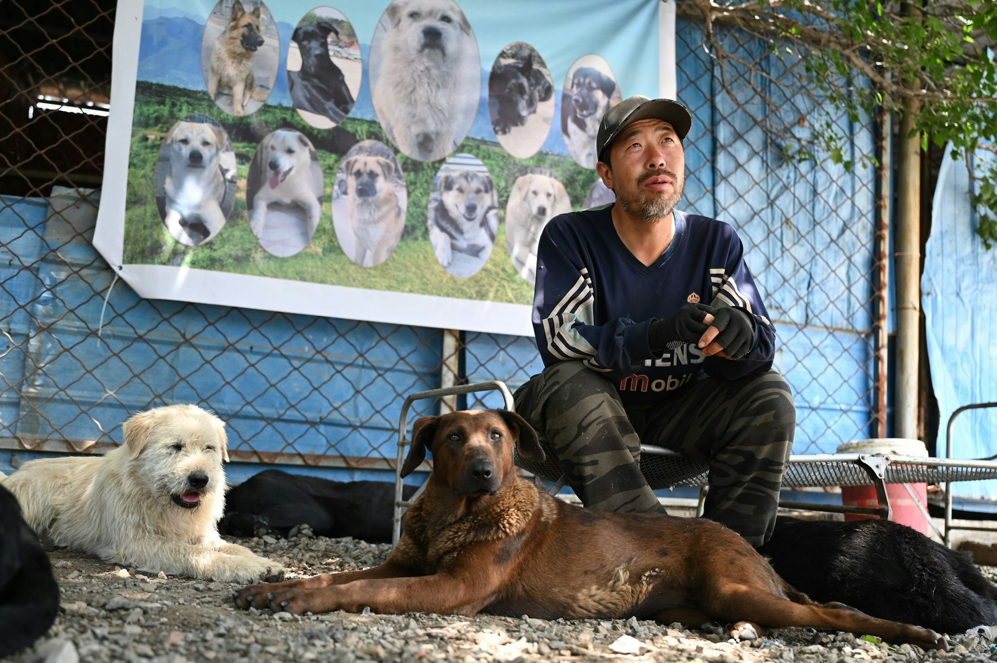 Huzi hatte zehn Jahre in Peking gearbeitet, bevor er entschied, sich nur noch um Hunde zu kümmern.